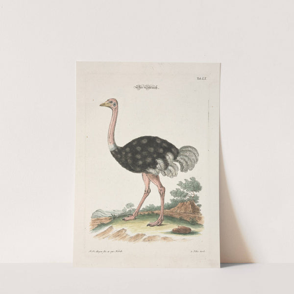 Angenehmer und nützlicher Zeit-Vertreib Pl.060 (1748) by Johann Daniel Meyer