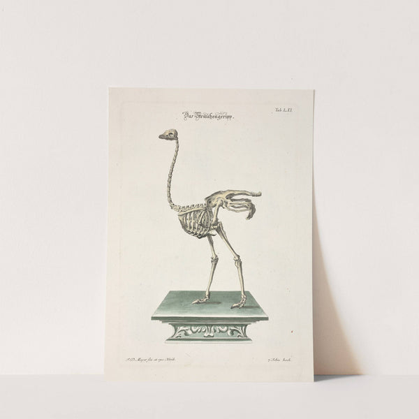 Angenehmer und nützlicher Zeit-Vertreib Pl.061 (1748) by Johann Daniel Meyer