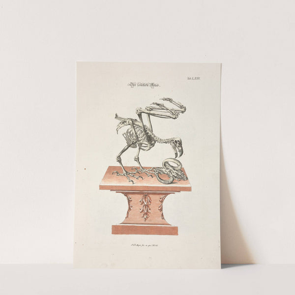 Angenehmer und nützlicher Zeit-Vertreib Pl.063 (1748) by Johann Daniel Meyer