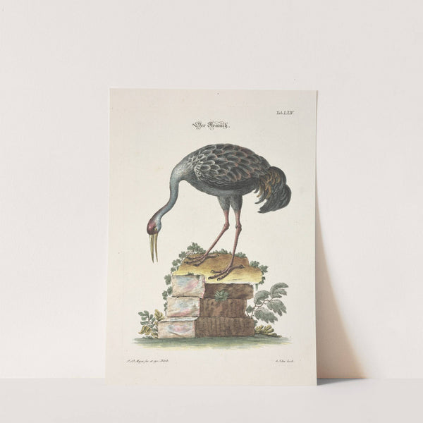 Angenehmer und nützlicher Zeit-Vertreib Pl.064 (1748) by Johann Daniel Meyer