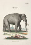 Angenehmer und nützlicher Zeit-Vertreib Pl.069 (1748)