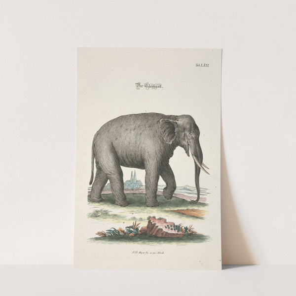 Angenehmer und nützlicher Zeit-Vertreib Pl.069 (1748) by Johann Daniel Meyer