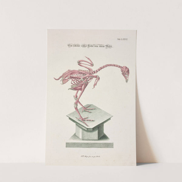 Angenehmer und nützlicher Zeit-Vertreib Pl.076 (1748) by Johann Daniel Meyer