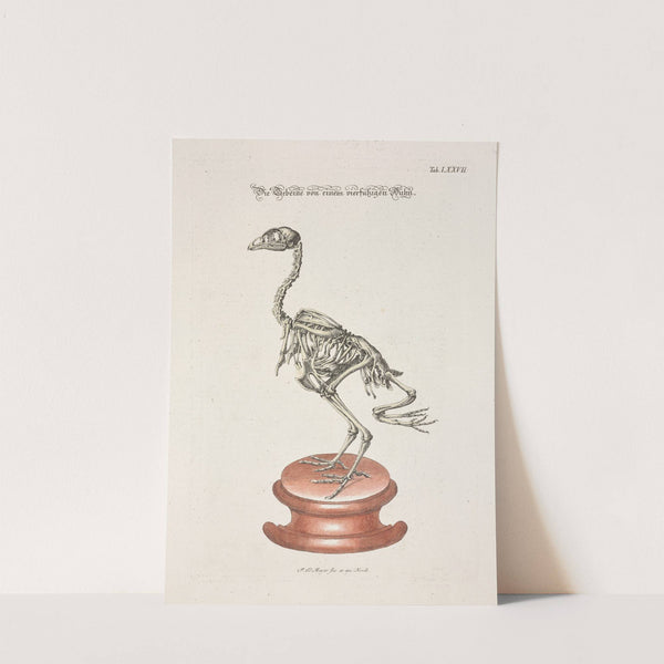 Angenehmer und nützlicher Zeit-Vertreib Pl.077 (1748) by Johann Daniel Meyer