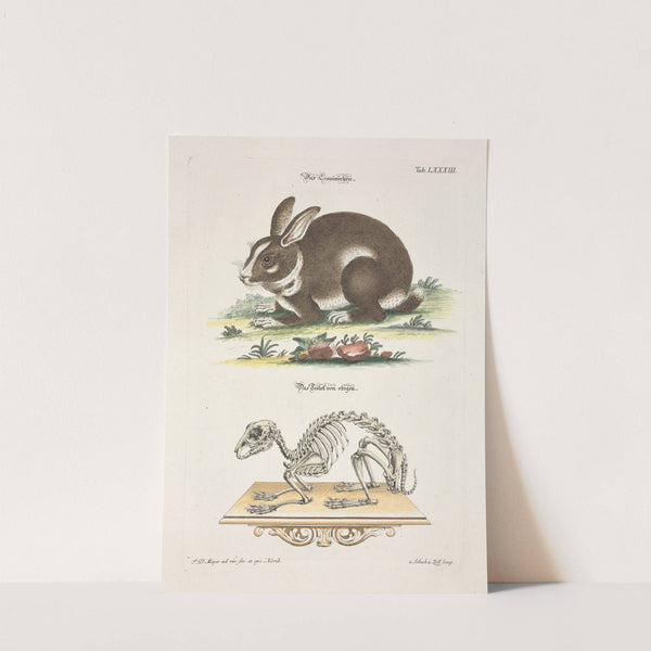 Angenehmer und nützlicher Zeit-Vertreib Pl.083 (1748) by Johann Daniel Meyer