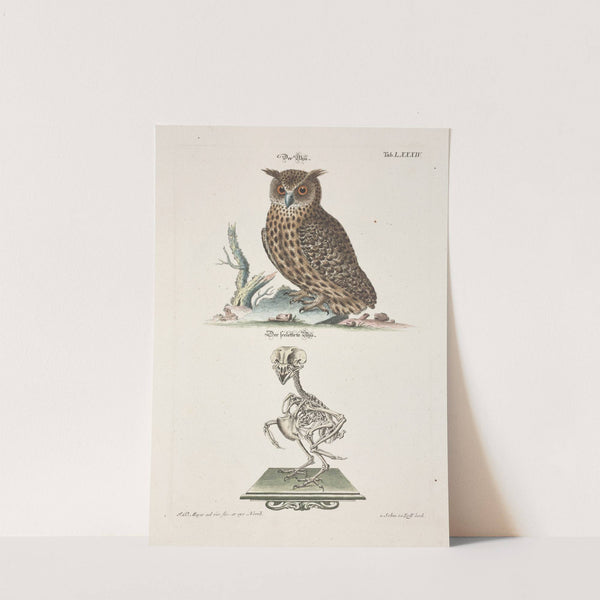 Angenehmer und nützlicher Zeit-Vertreib Pl.084 (1748) by Johann Daniel Meyer