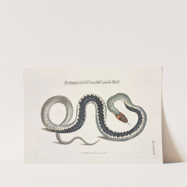 Angenehmer und nützlicher Zeit-Vertreib Pl.087 (1748) by Johann Daniel Meyer