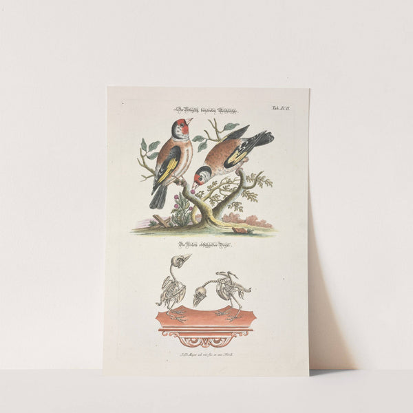 Angenehmer und nützlicher Zeit-Vertreib Pl.092 (1748) by Johann Daniel Meyer