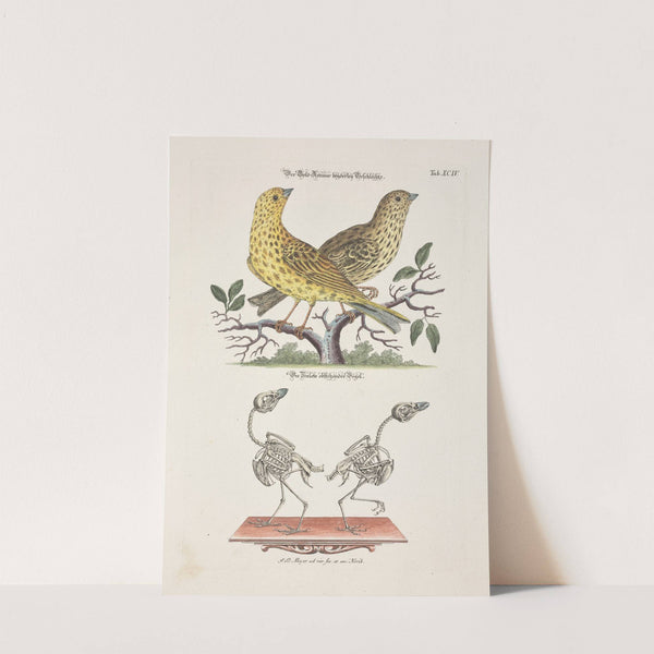 Angenehmer und nützlicher Zeit-Vertreib Pl.094 (1748) by Johann Daniel Meyer