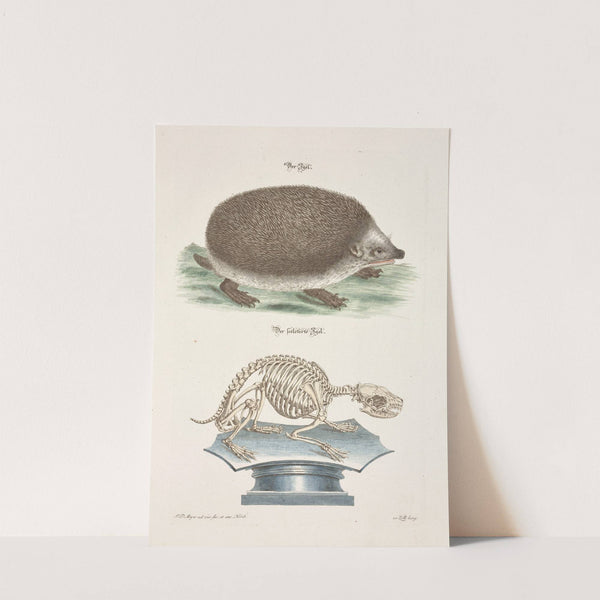 Angenehmer und nützlicher Zeit-Vertreib Pl.095 (1748) by Johann Daniel Meyer