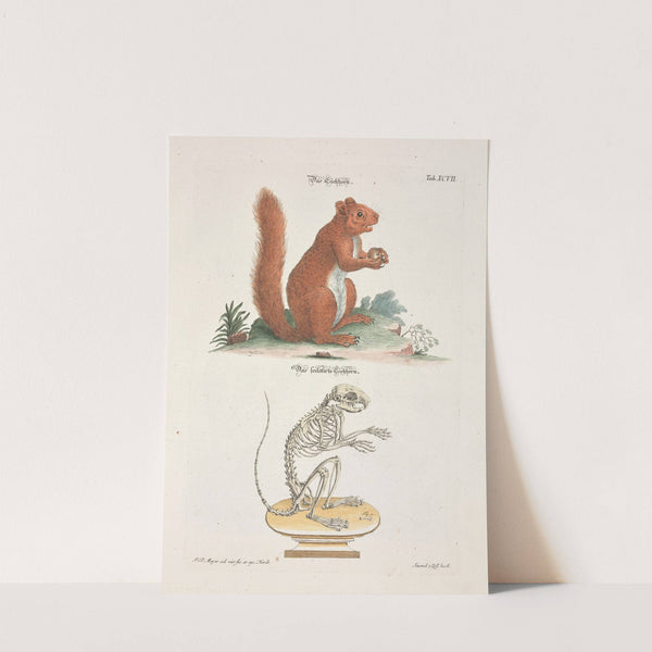 Angenehmer und nützlicher Zeit-Vertreib Pl.097 (1748) by Johann Daniel Meyer