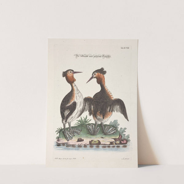 Angenehmer und nützlicher Zeit-Vertreib Pl.098 (1748) by Johann Daniel Meyer