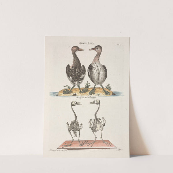 Angenehmer und nützlicher Zeit-Vertreib Pl.100 (1748) by Johann Daniel Meyer