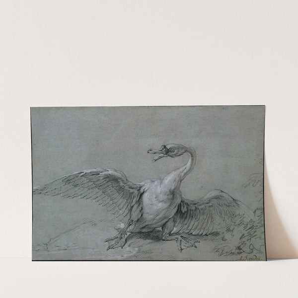 Angry Swan by Jean-Baptiste Oudry