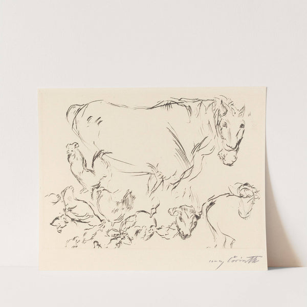 Animal Studies (Verschiedene Tierstudien) (1917) by Lovis Corinth