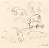 Animal Studies (Verschiedene Tierstudien)
