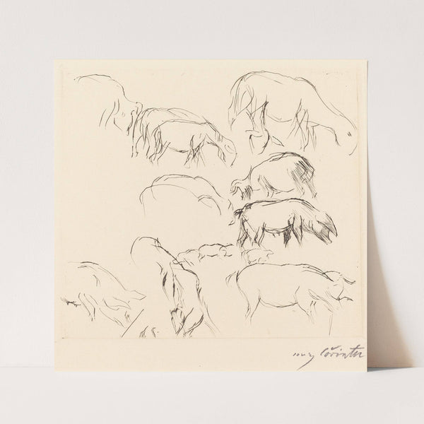 Animal Studies (Verschiedene Tierstudien) (1917) by Lovis Corinth