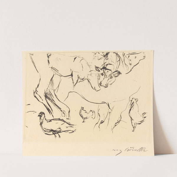 Animal Studies (Verschiedene Tierstudien) (1917) by Lovis Corinth