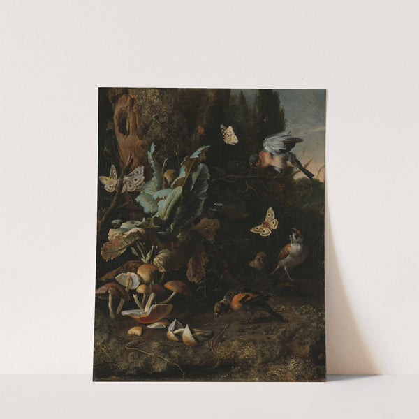 Animals and Plants (c. 1668) by Melchior d'''Hondecoeter