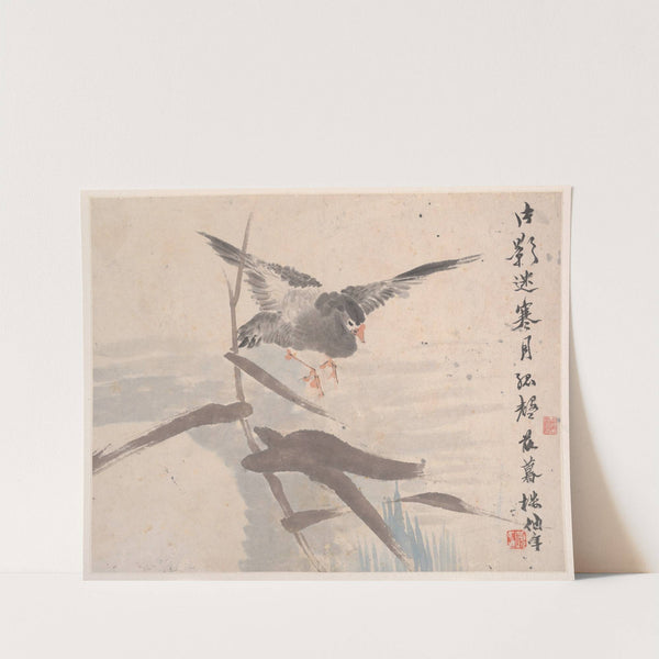 Animals, Flowers and Birds Pl.8 (19th century) by Ren Yi