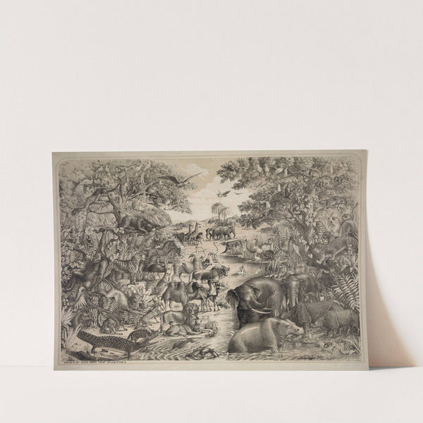 Animals for Noah’s ark by Gibson & Co. Lith