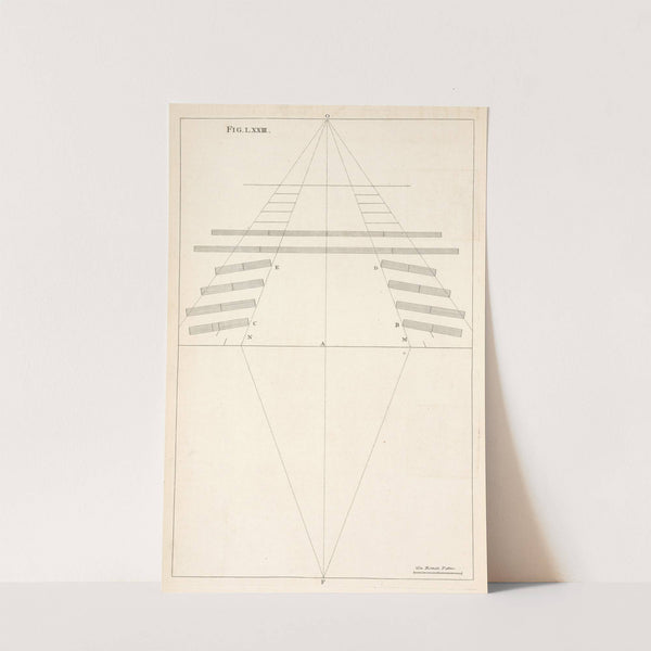 Another plan of a theater, with the method of finding the point of sight therein. by Andrea Pozzo