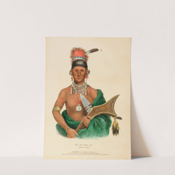 Ap-Pa-Noo-Se. Saukie Chief (1836) by Charles Bird King