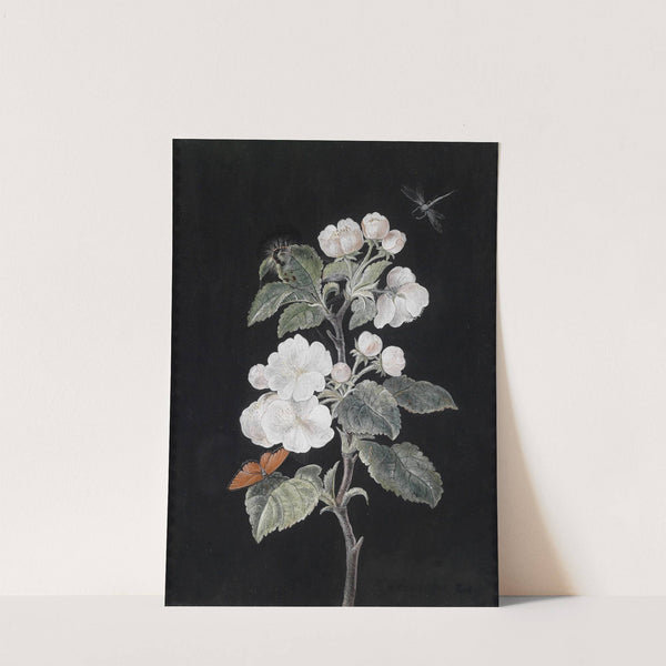 Apfelblüten by Margaretha Barbara Dietzsch