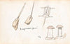Apiarian equipment (1874)