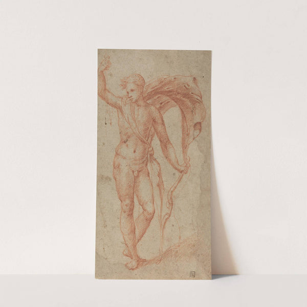 Apollo (c. 1510-1540) by Italian School