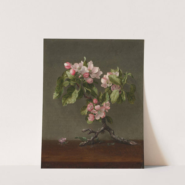 Apple Blossoms (1873) by Martin Johnson Heade