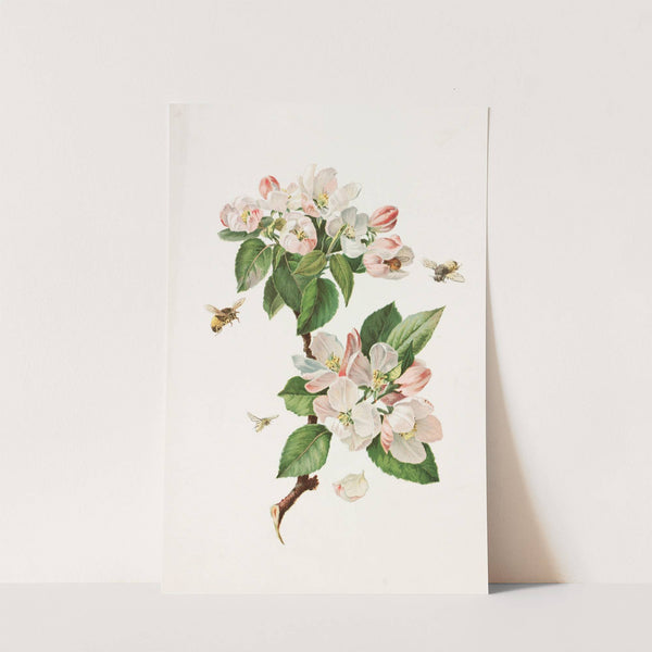 Apple Blossoms and Bees (1885) by Alois Lunzer