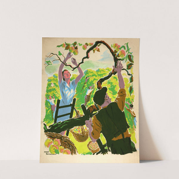 Apple picking by Drake Brookshaw