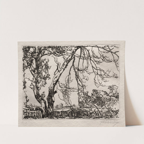 Apple Tree by Frank Wilcox