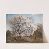 Apple Tree in Blossom by Carl Fredrik Hill