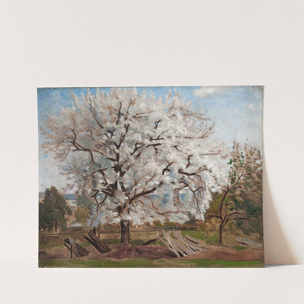 Apple Tree in Blossom by Carl Fredrik Hill