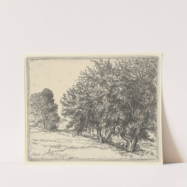 Apple Trees (1923) by Ernest Haskell