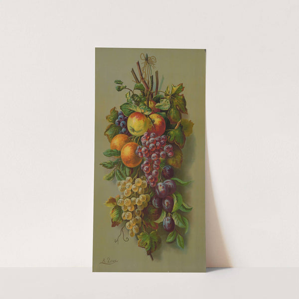 Apples, Plums & grapes (1902) by Muller, Luchsinger & Co.