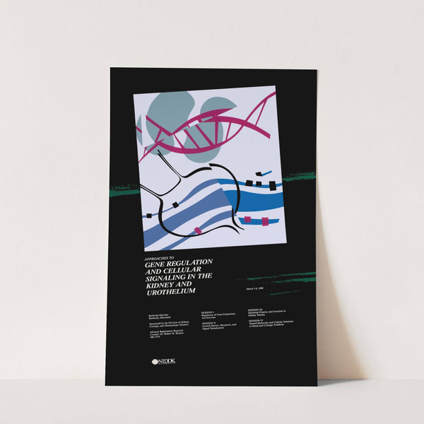 Approaches to gene regulation & cellular signaling in the kidney & urothelium by National Institutes of Health