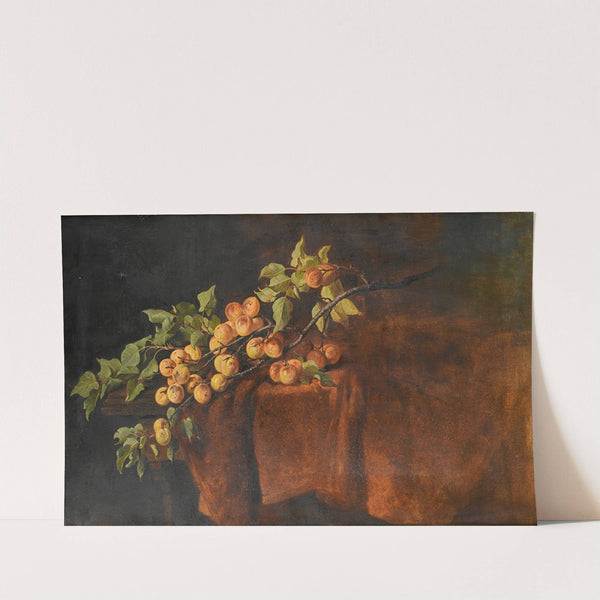 Aprikosenzweig by Adam Ludwig Kunz