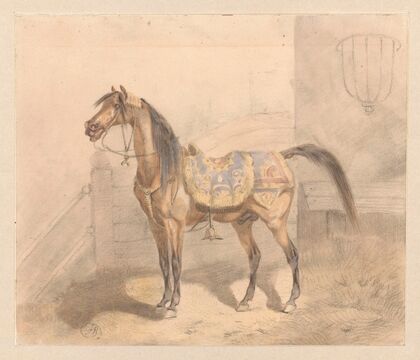 Arab in the eastern row in the stable (1860)