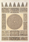 Arabian No.3