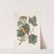 Arbor Tulipifera, The Tulip Tree; Icterus, The Baltimore Bird. by Mark Catesby