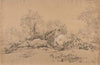 Arbre abattu