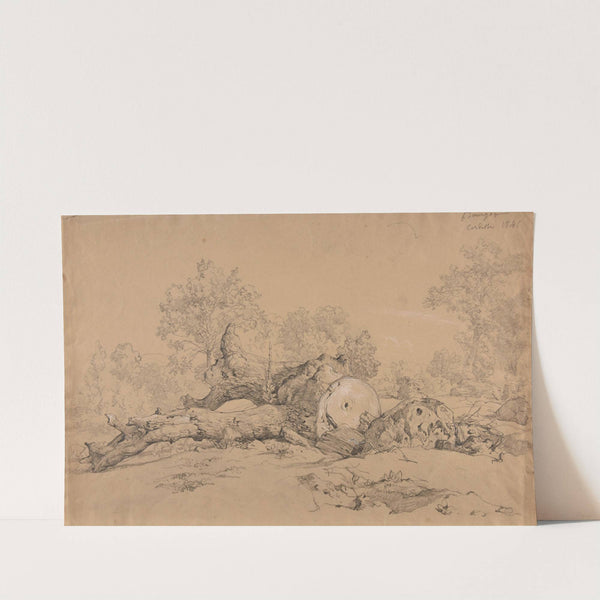 Arbre abattu by Jacques-Raymond Brascassat