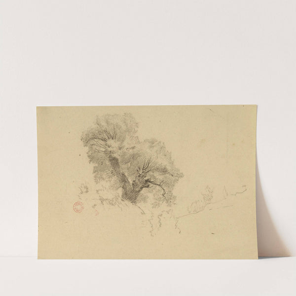 Arbre by Jean-Achille Benouville