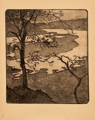 Arbres au-dessus d’un estuaire (Trees above the Estuary)