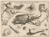 Archetypa studiaque patris Georgii Hoefnagelii Pl.01 (1592)
