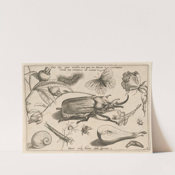 Archetypa studiaque patris Georgii Hoefnagelii Pl.01 (1592) by Joris Hoefnagel