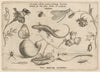 Archetypa studiaque patris Georgii Hoefnagelii Pl.03 (1592)